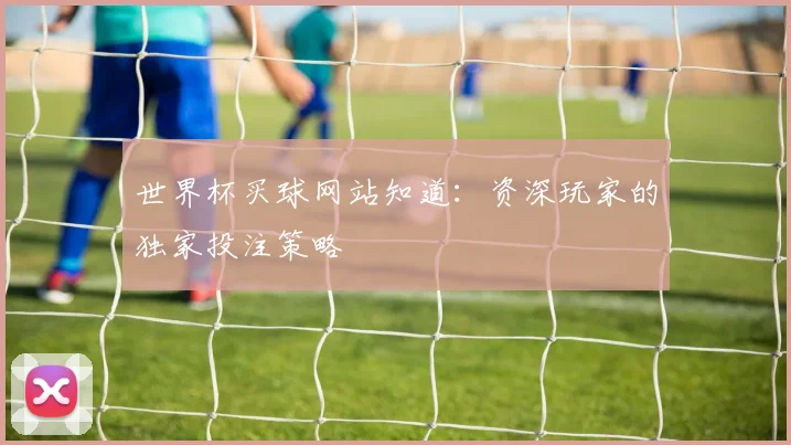 世界杯买球网站知道：资深玩家的独家投注策略