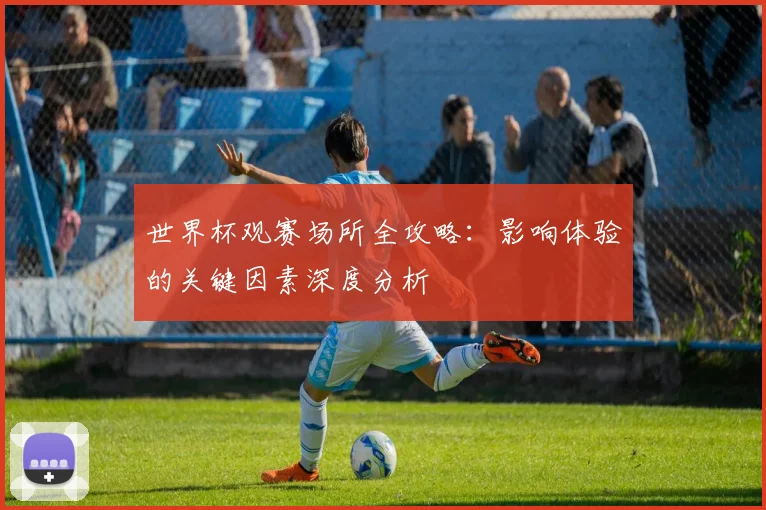 世界杯观赛场所全攻略：影响体验的关键因素深度分析