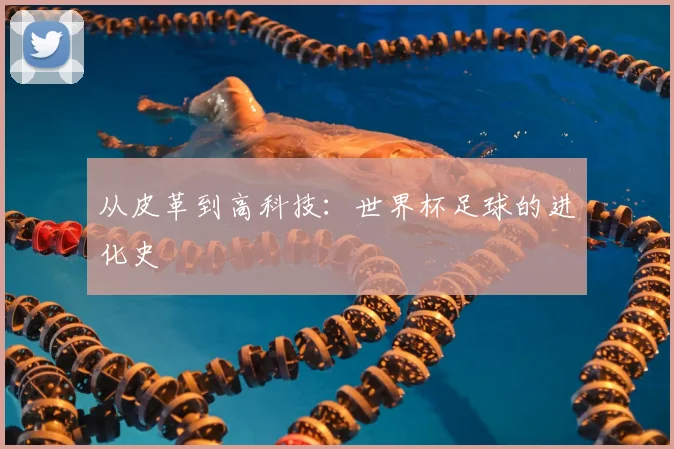 从皮革到高科技:世界杯足球的进化史