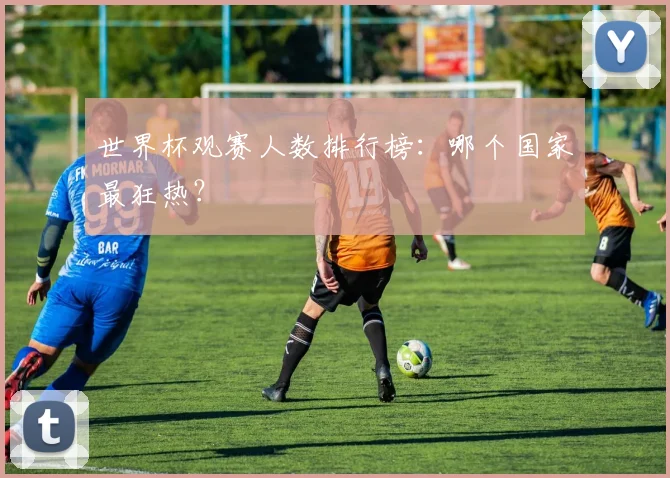 世界杯观赛人数排行榜：哪个国家最狂热？