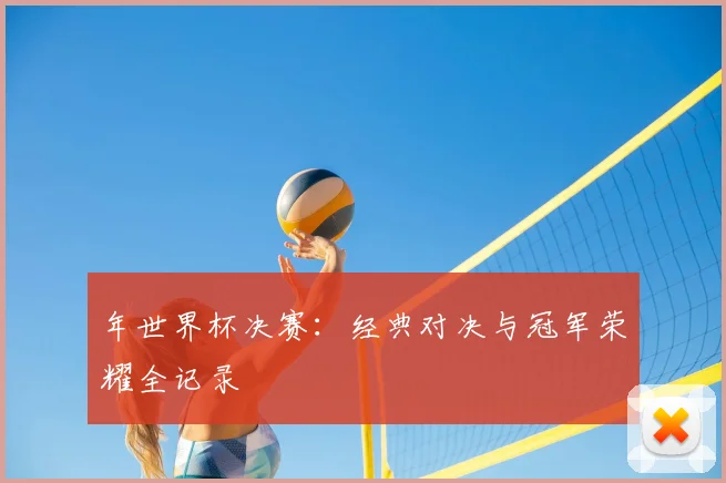 年世界杯决赛：经典对决与冠军荣耀全记录