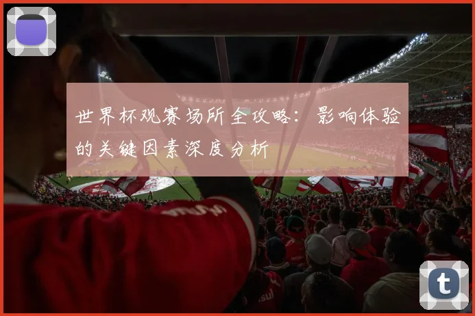 世界杯观赛场所全攻略：影响体验的关键因素深度分析