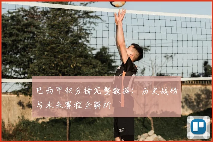 巴西甲积分榜完整数据：历史战绩与未来赛程全解析